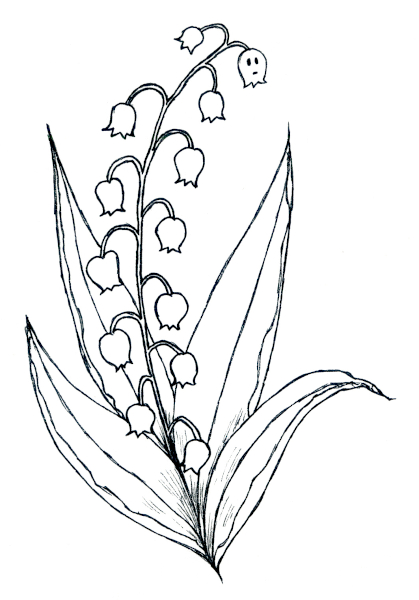 Le Muguet du mois de Mai