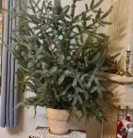 Idée bouquet de Noël avec des branches de sapin