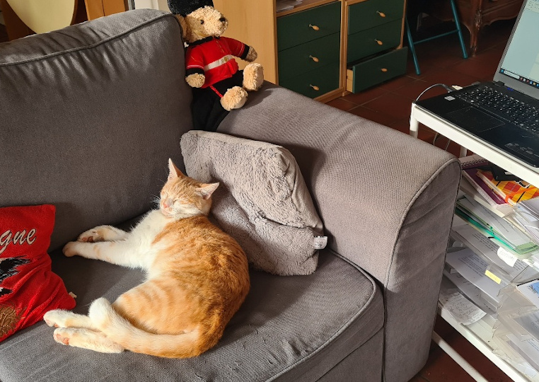 De quoi avons-nous besoin pour écrire ? Plan de travail...